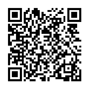 认为新井利则这个老鬼子就是一门心思来给自己挖坑的二维码生成