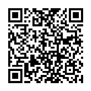认为许紫烟是在装样子←向许紫烟的目光都带着怜悯二维码生成