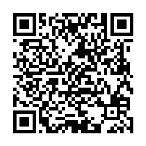 认为这样的事情就不会在对阵他们支持的球队时发生……二维码生成