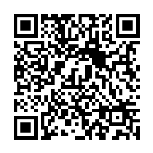 认真的打量着这个在太夏引起轩然大波的源头之地二维码生成