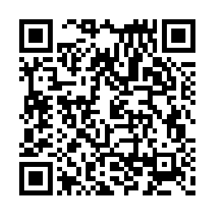 认真跑起来的话……他们应该是追不上我的……二维码生成