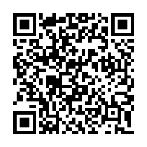 认识的一个就是不久前见过的巴里的小女儿麦姬二维码生成