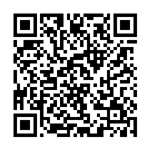 讧辆辆全副武装的军用悍马车就出现在了夏家大门口二维码生成