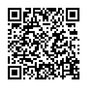 让一个小姑娘负责只有特种兵才能干的野外生存的事二维码生成