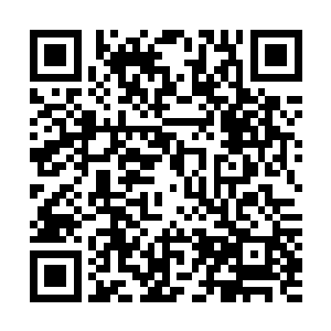 让一力支持外战的尼尔王和红角黑角两族对我们都很有意见二维码生成