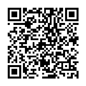让一盆被深埋在地下的剑兰能够顽强的钻出土地的二维码生成