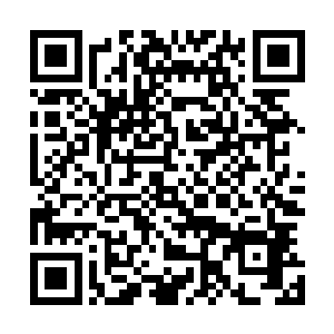 让一直扭着头看着墙壁没有动静的熠梦仙子忽然转头看向他二维码生成