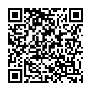 让万里内所有达到天空圣师境界的高手都清晰的感受到了二维码生成