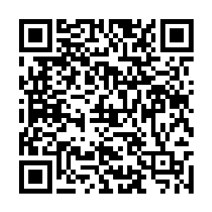 让不远处那只原本想绕路的星辰一星魔兽内心一抽二维码生成