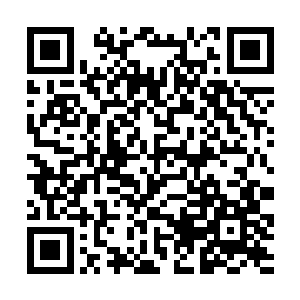 让不适合修仙的凡人也能踏入修仙之道的灵丹仙药吗二维码生成