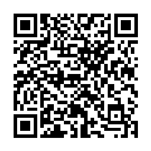 让两人之间的感情似乎又变成了一年之前那种温馨甜蜜二维码生成