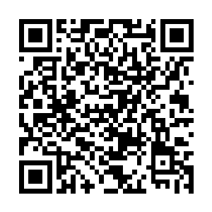 让中三界那些内心动荡的人彻底的开始活跃起来了二维码生成
