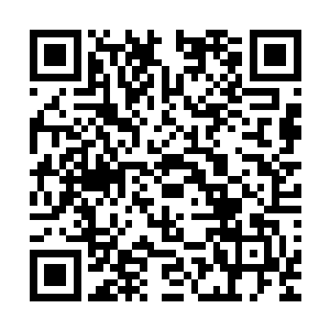 让九位佛门宗师结成的阵法和风化岩石附近现出清净极乐之意二维码生成