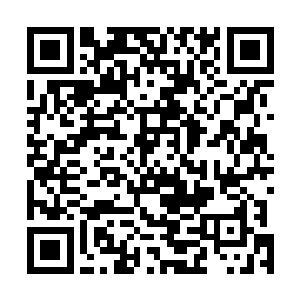 让五千护卫队和刚刚被拯救出来的数百名幸存者侧目不已二维码生成