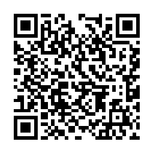 让人一下子从美丽的仙境一下子掉进了恐怖的地狱二维码生成