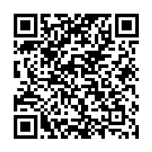 让人下意识的想要沿着那道乳沟深深向下窥探和发掘二维码生成