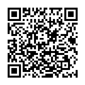 让人不由得生出那里突然会蹦出一些什么可怕的生物来二维码生成
