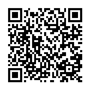 让人不知不觉得便以为她真的在满是木乃伊的墓穴中缓慢行走着二维码生成