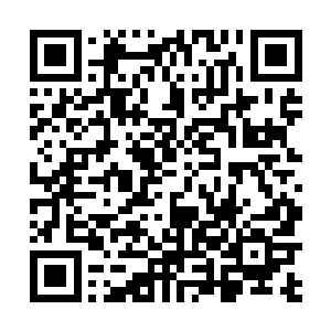 让人不知道究竟是真的还是假动作……显然古尔被骗了二维码生成