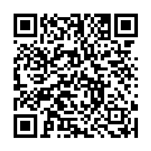 让人们欣赏到爱情――至少是激情萌芽和爆发的过程二维码生成