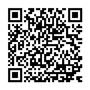 让人们都相信为大顺立下赫赫战功的济安郡主凤羽珩来了南界二维码生成