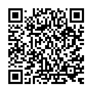 让人分不清她是感受到羞涩难捺的的痛苦还是亨受着新奇诱人二维码生成
