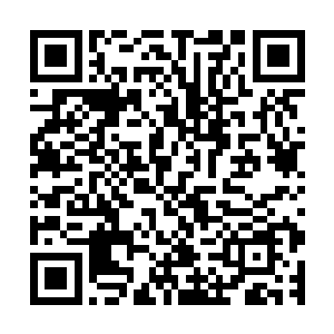 让人哭笑不得的开场很快就在一片不知所措的尴尬之中结束了二维码生成