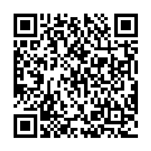 让人很不解的除了明月雷之外还有秦家的三位长老……二维码生成