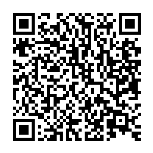 让人搞不懂导演杜克·罗森伯格到底是要拍摄一部现实主义题材的影片二维码生成