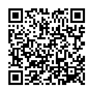 让人欲道道主从那无欲无求的境界中清醒了过來二维码生成