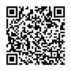 让人看着都恨不得把它小心的拿起来贴到脸上蹭一蹭二维码生成