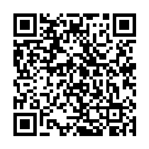让人看着都有种抱在怀中好好的呵护安慰一番的冲动二维码生成