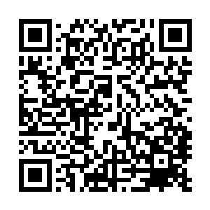 让人觉得就算是长大了也是那种一看就全无兴趣可言的类型二维码生成