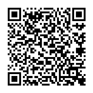 让从小就心疼陈澈这个孙子的老夫人终于可以出手挡住夫人对陌路离殇的迫害了~二维码生成