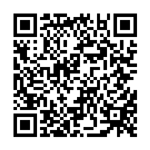 让从小就特能来事儿的桑春轻易的就成了她的朋友二维码生成