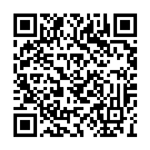 让从小就生活在都市里的花悠悠和欣姐向往不已二维码生成