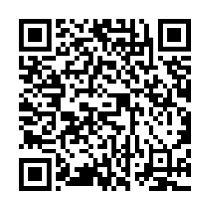 让他一度认为这名作家是一位睿智而富有生活智慧的老太太二维码生成