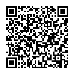 让他一身的修为和力量都开始以惊人的速度顺着他的右手朝那血晶心脏涌去二维码生成