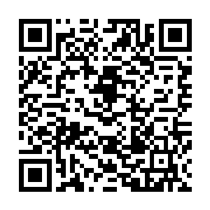 让他不由自主的想起了自己随同天魔圣教一同侵入翻云皇朝二维码生成