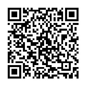 让他们上战场总比留他们在大都逼着自己犒赏要强吧二维码生成