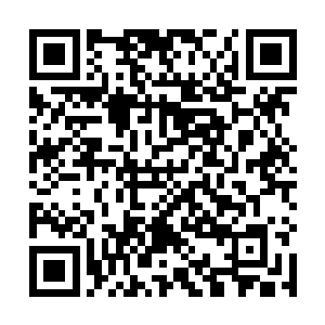 让他们不敢有这样的举动……一旦梵天干掉了秦方等人二维码生成