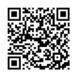 让他们可以尽情的吸收丧尸晶核当中的能量二维码生成