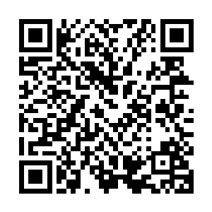 让他们各自将自己诊断出来的结果按照患者的排列序号填写出来二维码生成