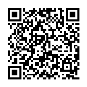 让他们对于仙诀运用的奥义有了更加深刻的理解二维码生成