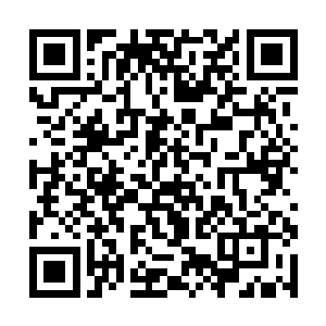 让他们对即将登基的国主有着一种莫名的信心和期待二维码生成