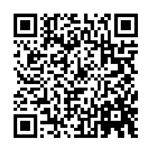 让他们将苏江市翻过来也要将孟猊和龙家人给找出来二维码生成