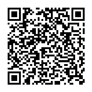 让他们明白钱投资出去是不会被谁轻易拿着去拉斯维加斯花天酒地的二维码生成