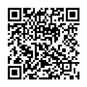 让他们趁着左左不防备的事情把设计底图拍照给你二维码生成