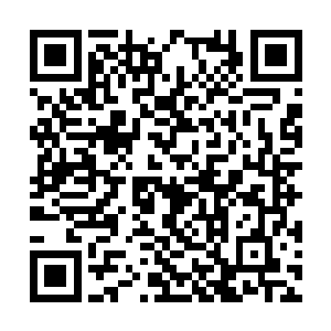 让他们重伤到快要死亡的地步超过一千人才会惩罚二维码生成