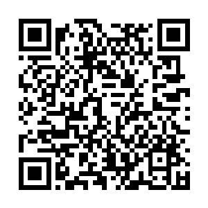 让他偷偷的将八大龙族联盟的消息透露给邪魔龙族二维码生成